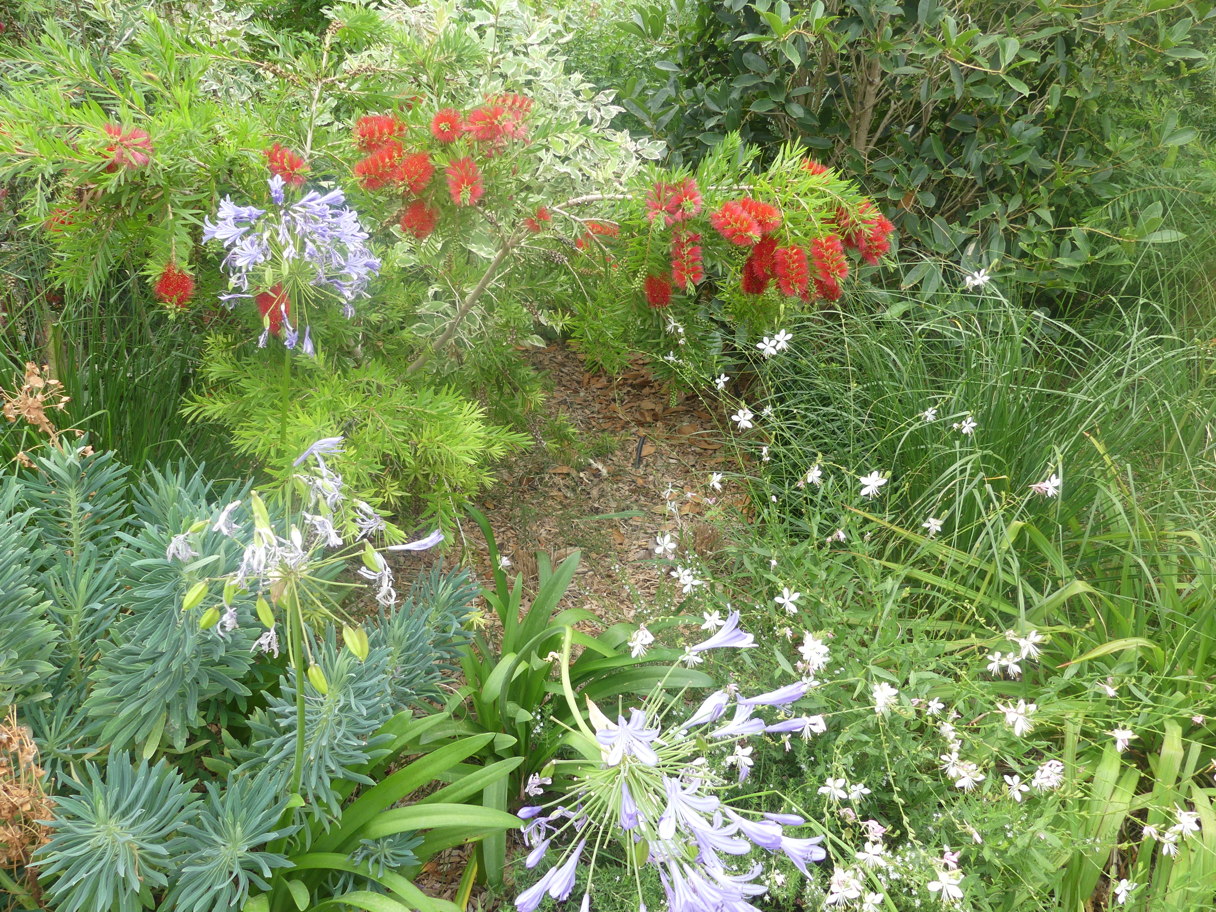 Jardin Salvador Dali, Marignane - photo 9