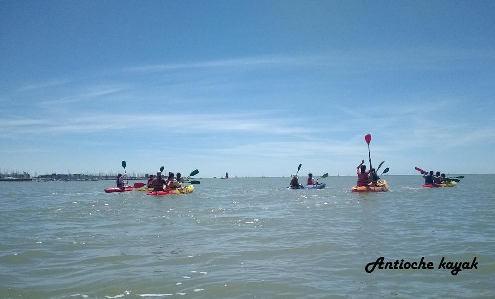 Un groupe de 5 canoës naviguant vers le large.
