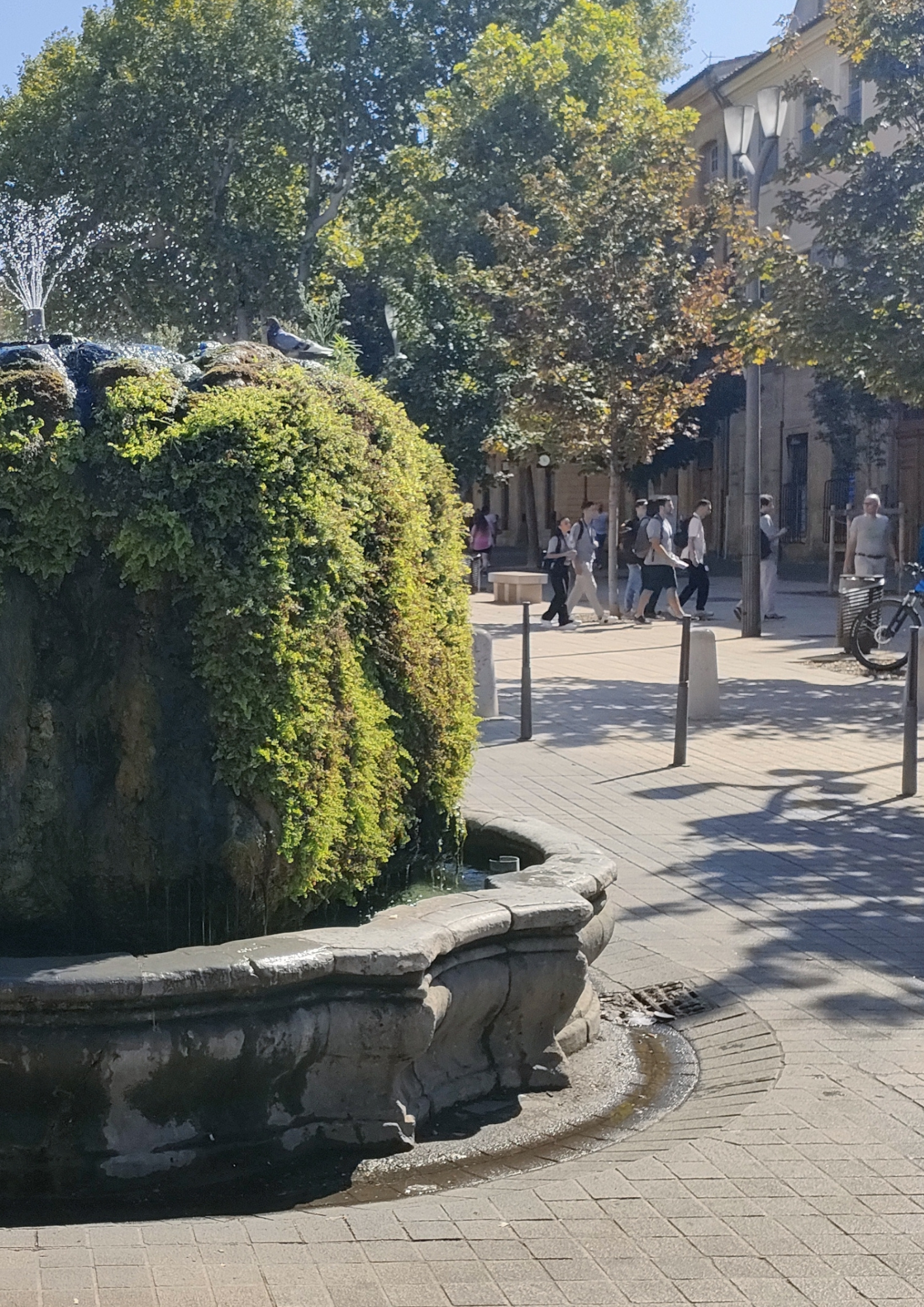 Thomas en Provence - photo 4