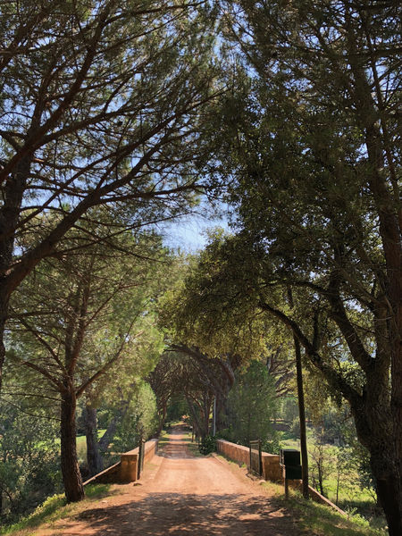 Domaine de la Portanière