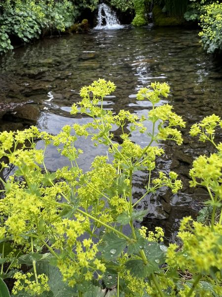 Jardin Botanique La Jaysinia - Visite Groupe
