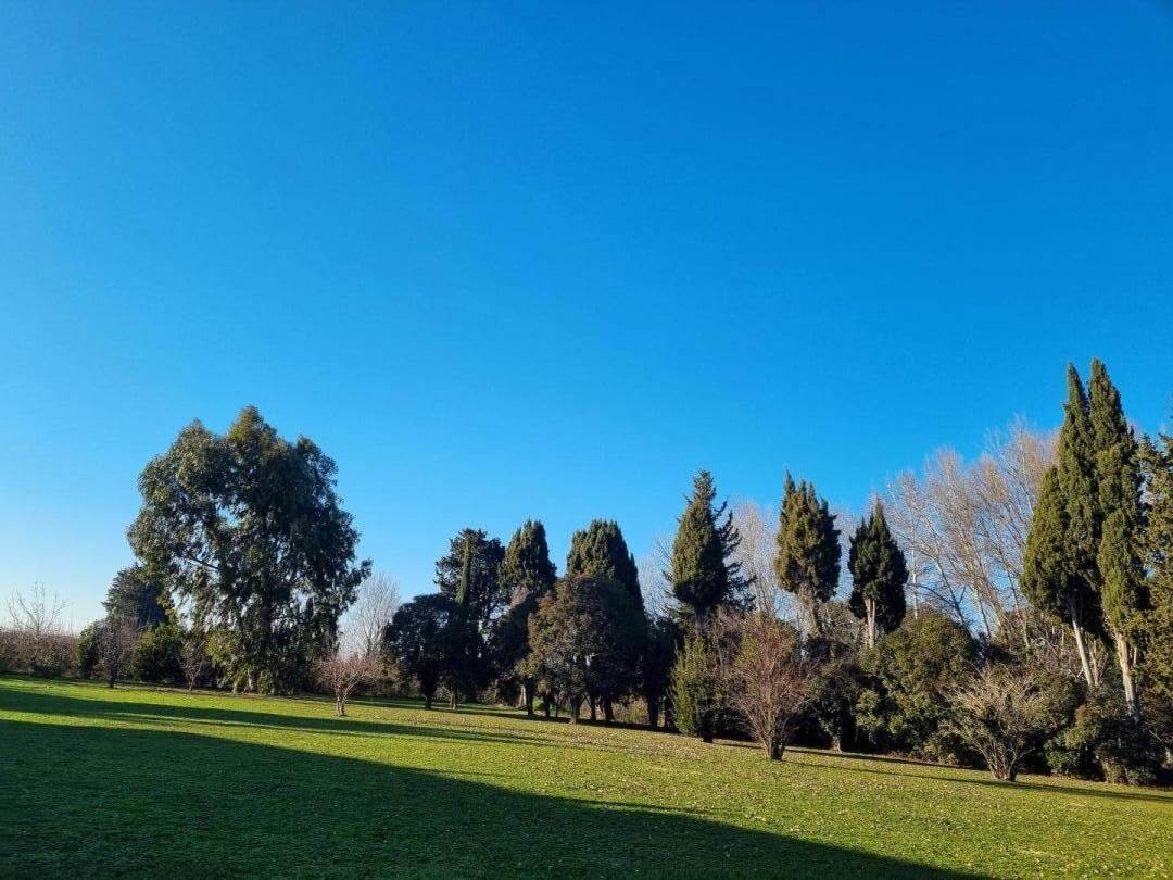 Mas Hector, Châteaurenard - photo 19