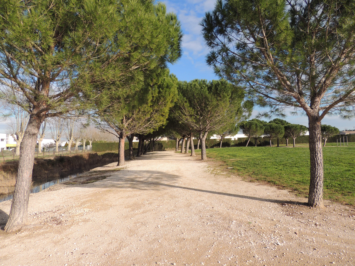 Parcours de santé, Saint-Andiol - photo 2