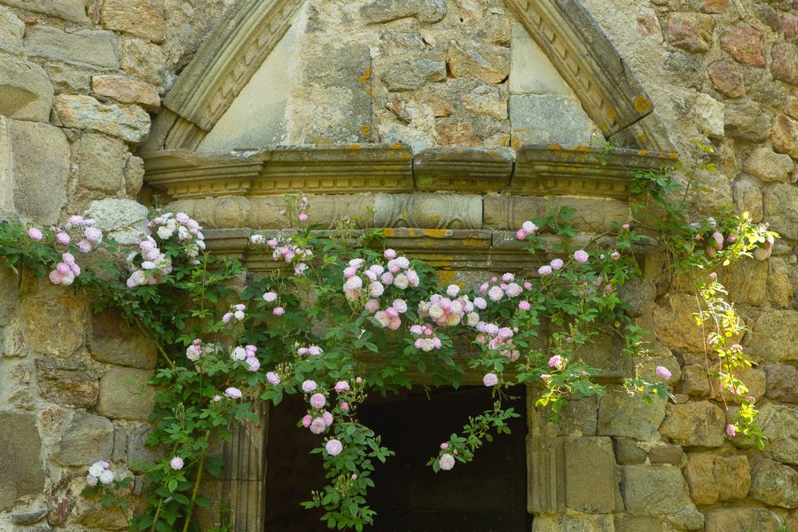 Rendez-vous aux jardins : Château du Pin
