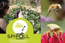 Exposition "Insectes pollinisateurs" Chamrousse