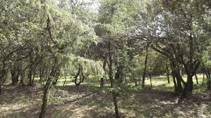 Le Claou Parcours de Santé