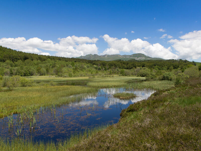 Tourbière de Gayme