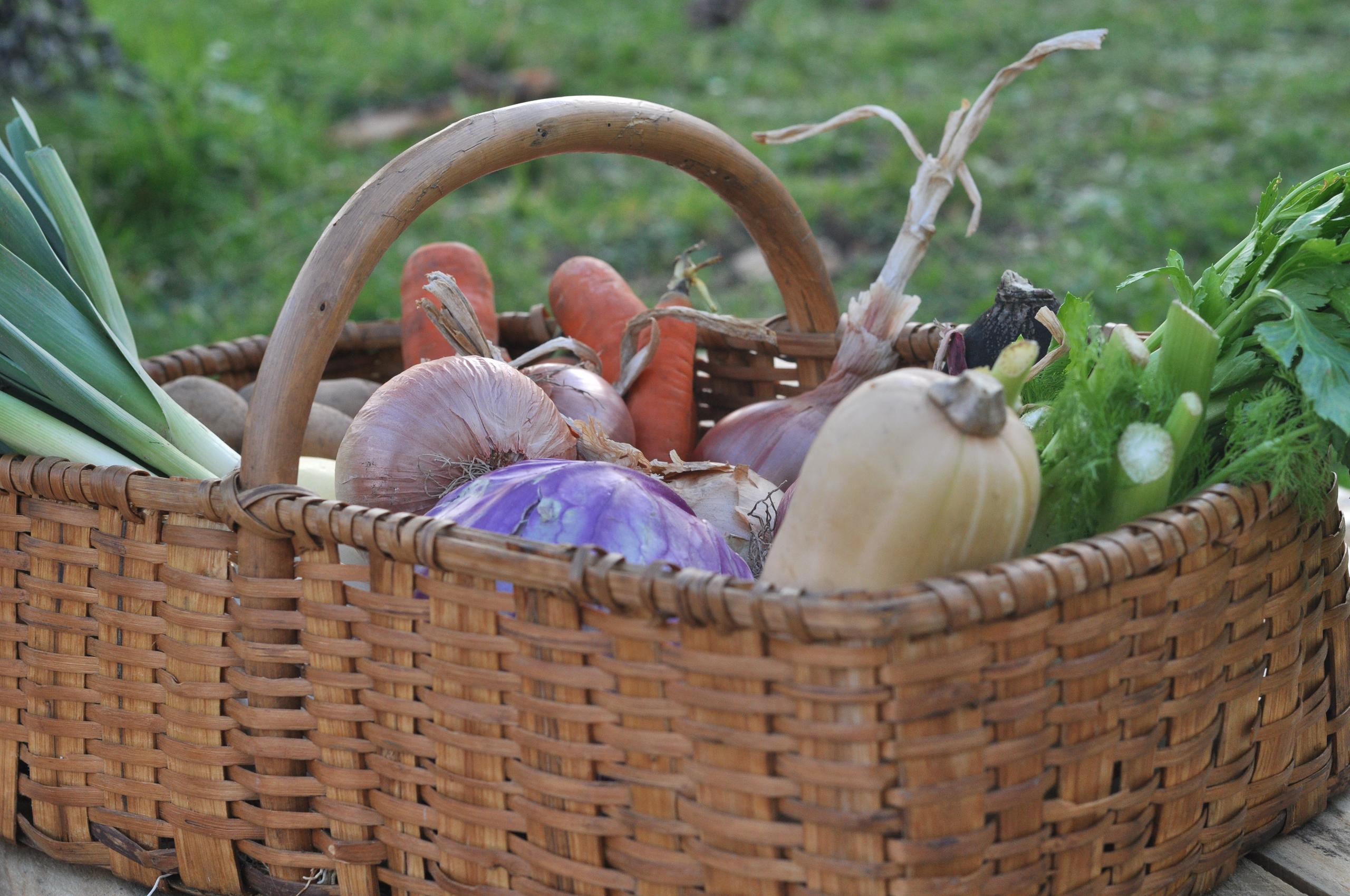 Marché de producteurs Marennes Oléron Produits Saveurs (MOPS)