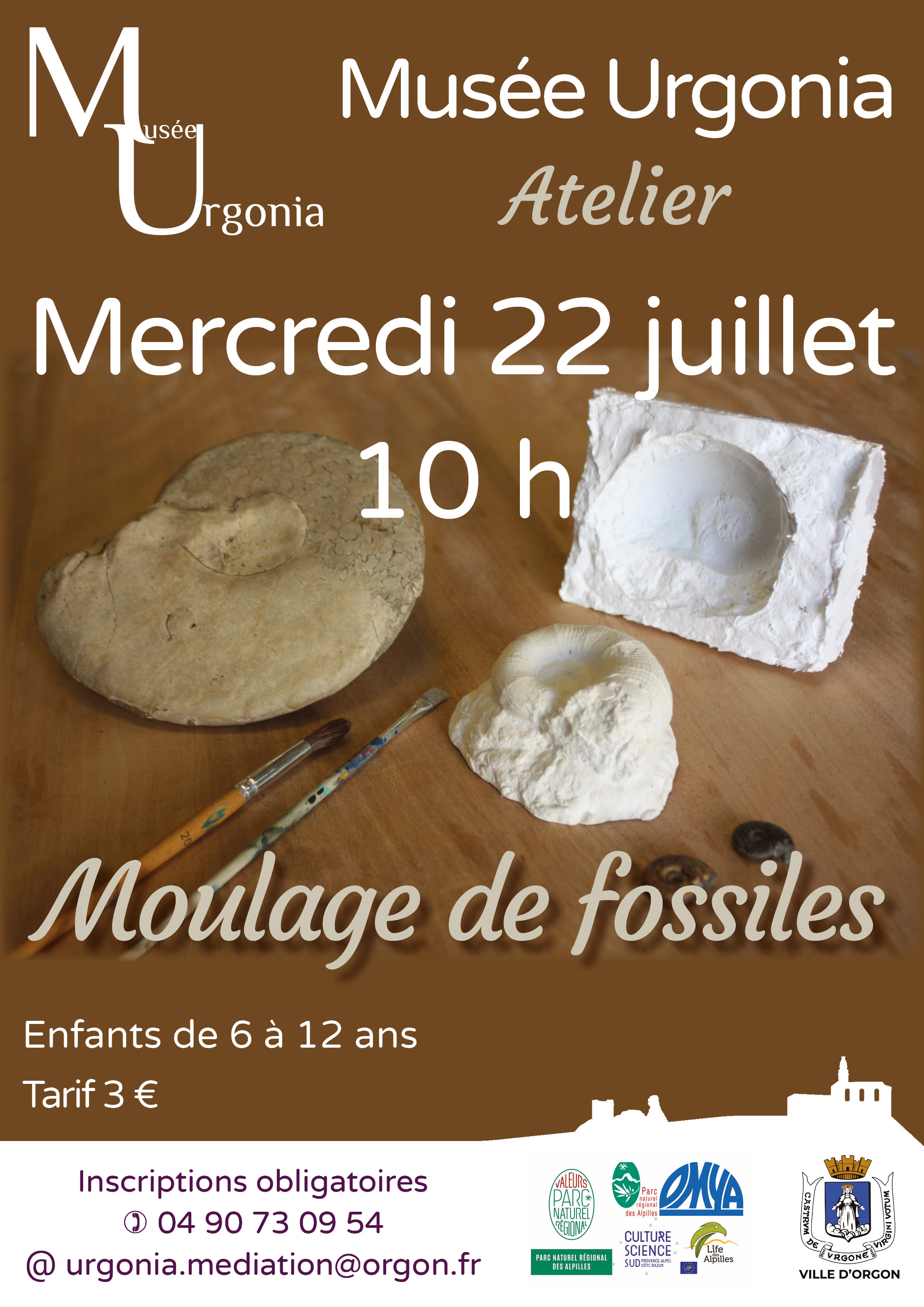 Atelier "Moulage de fossiles"