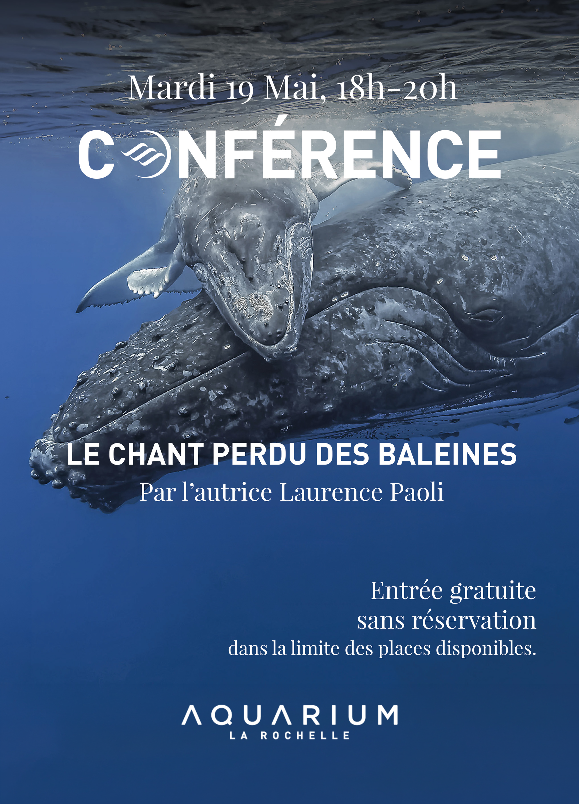 Conférence - Le chant perdu des baleines - Laurence Paoli