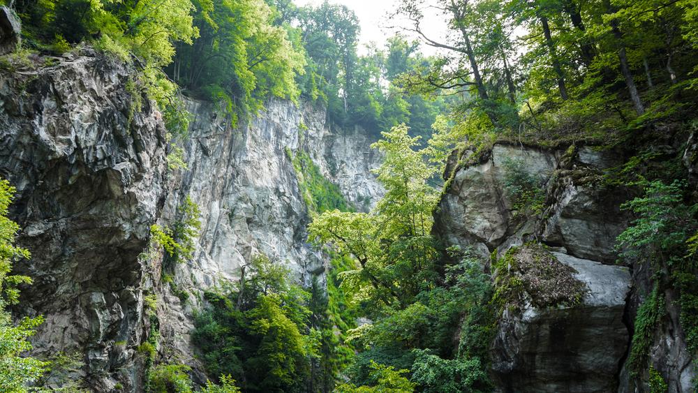 L'environnement naturel de la passerelle