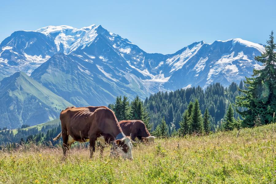 Le Mont Joly depuis le Bettex