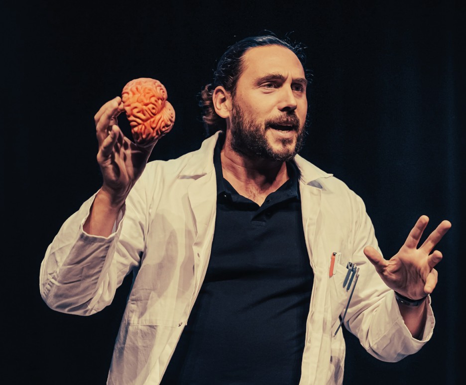 Tout ce que vous avez toujours voulu savoir sur votre cerveau par Andrea Redavid