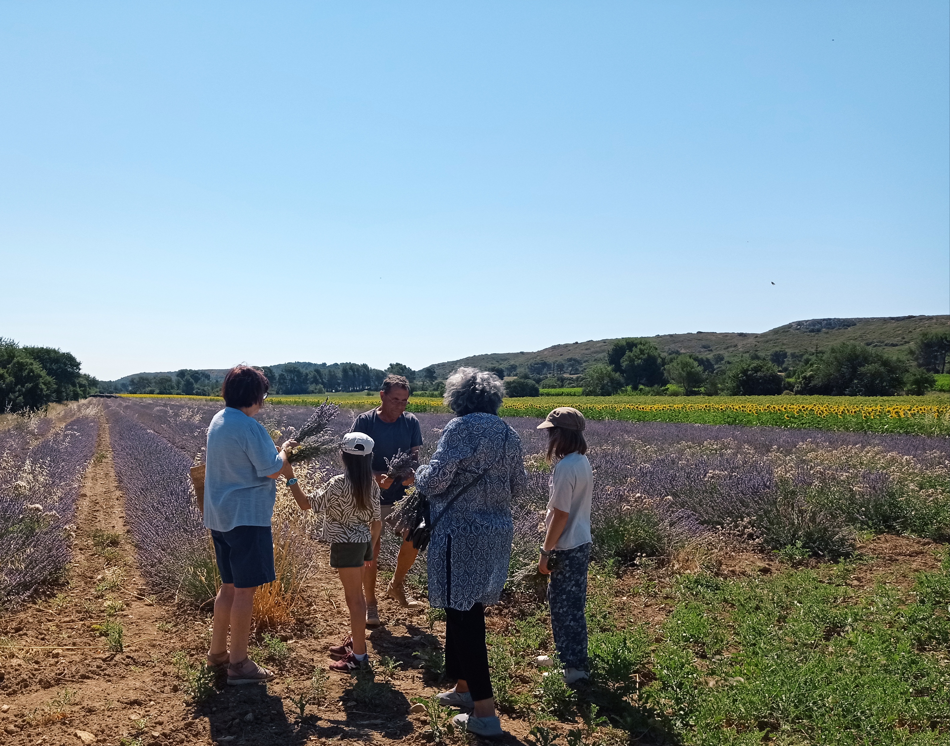 Provence Aromatiques — photo 2