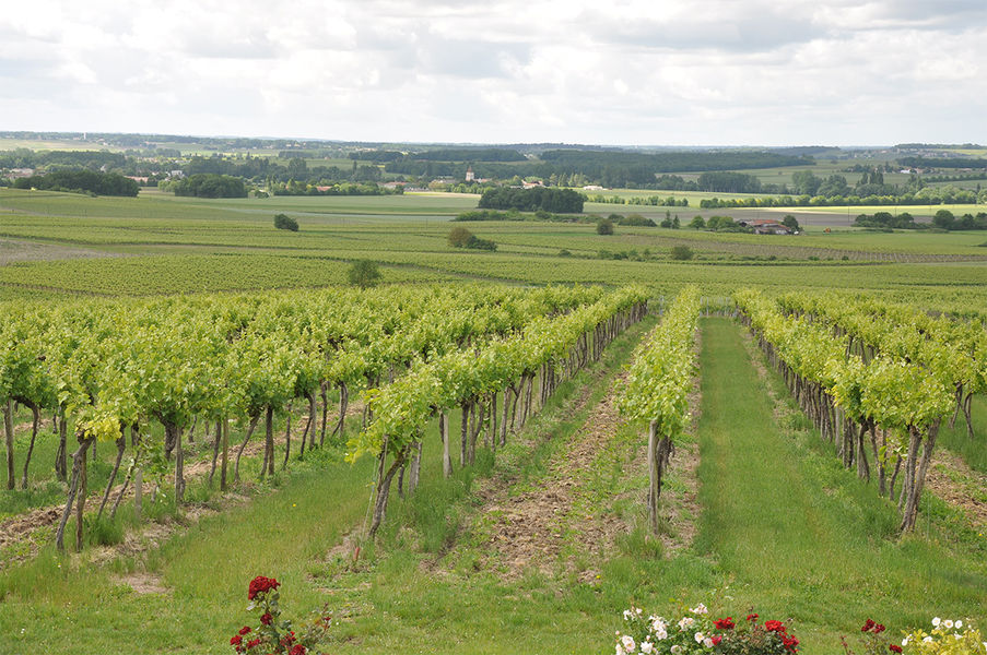 Domaine du Raz - Pineau Cognac