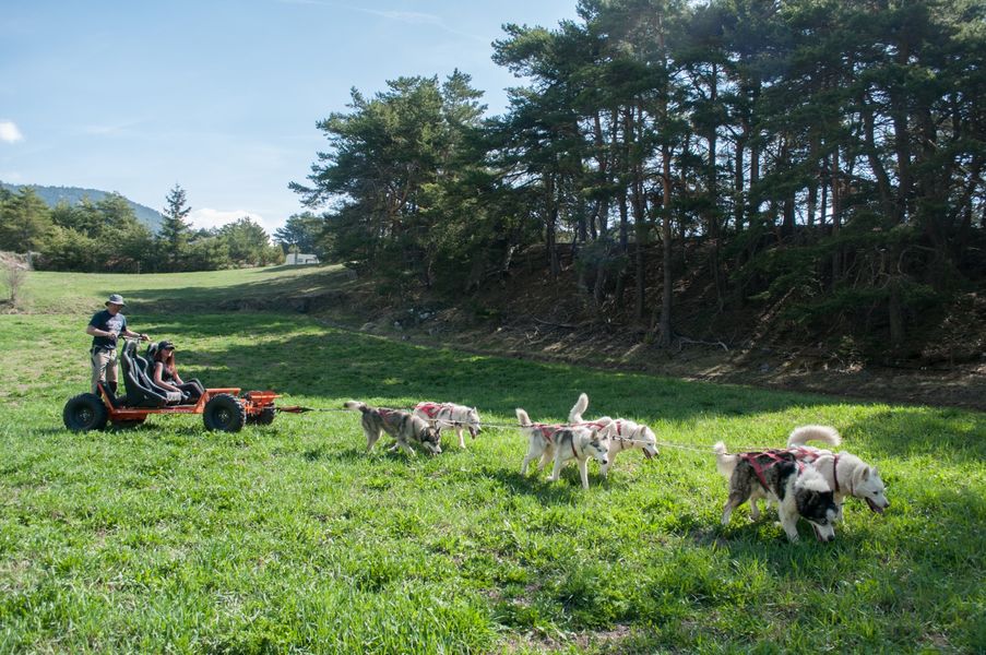 aussois-husky-adventure-cani-kart