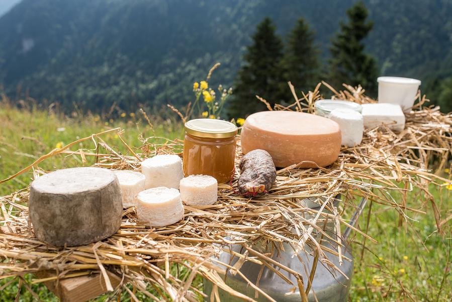 Visite à la bergerie, traite des moutons et fabrication du fromage