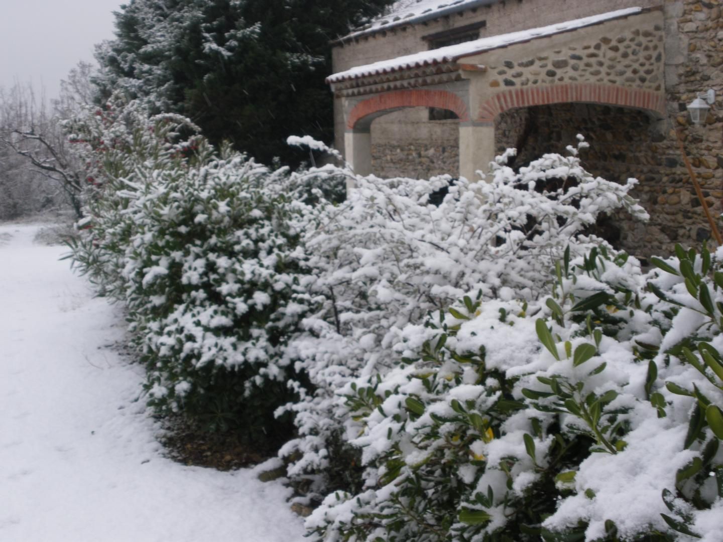 Vacances de Noël, parfois surprise de la neige