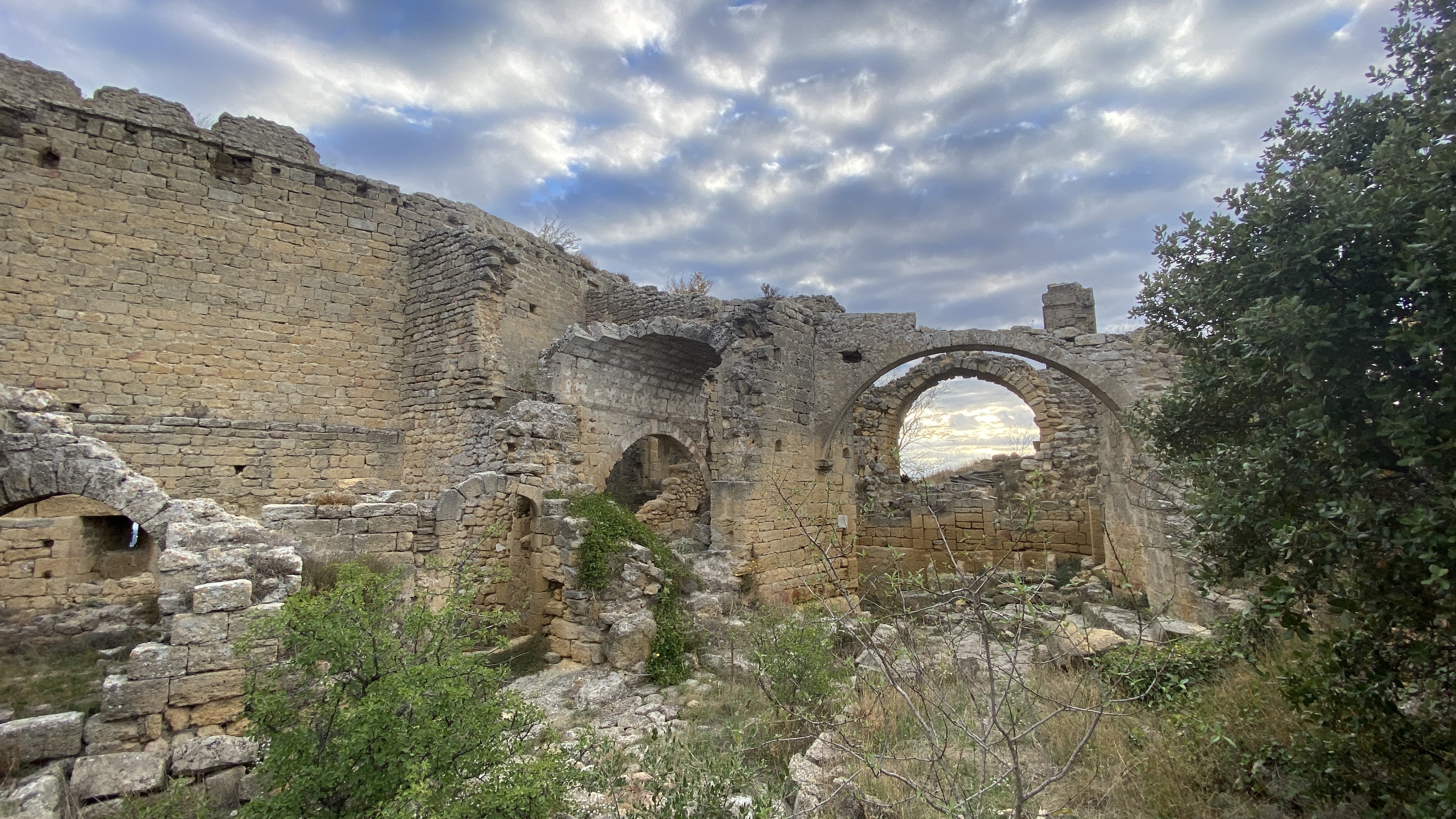 Ruines du château seigneurial de Vernègues
