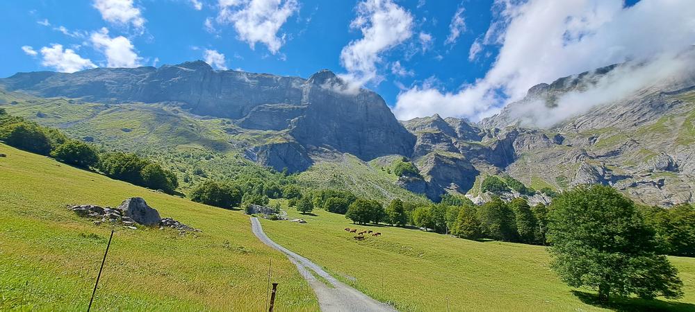Pierre Fendue depuis le Cochenet - sentier pédestre_Cordon