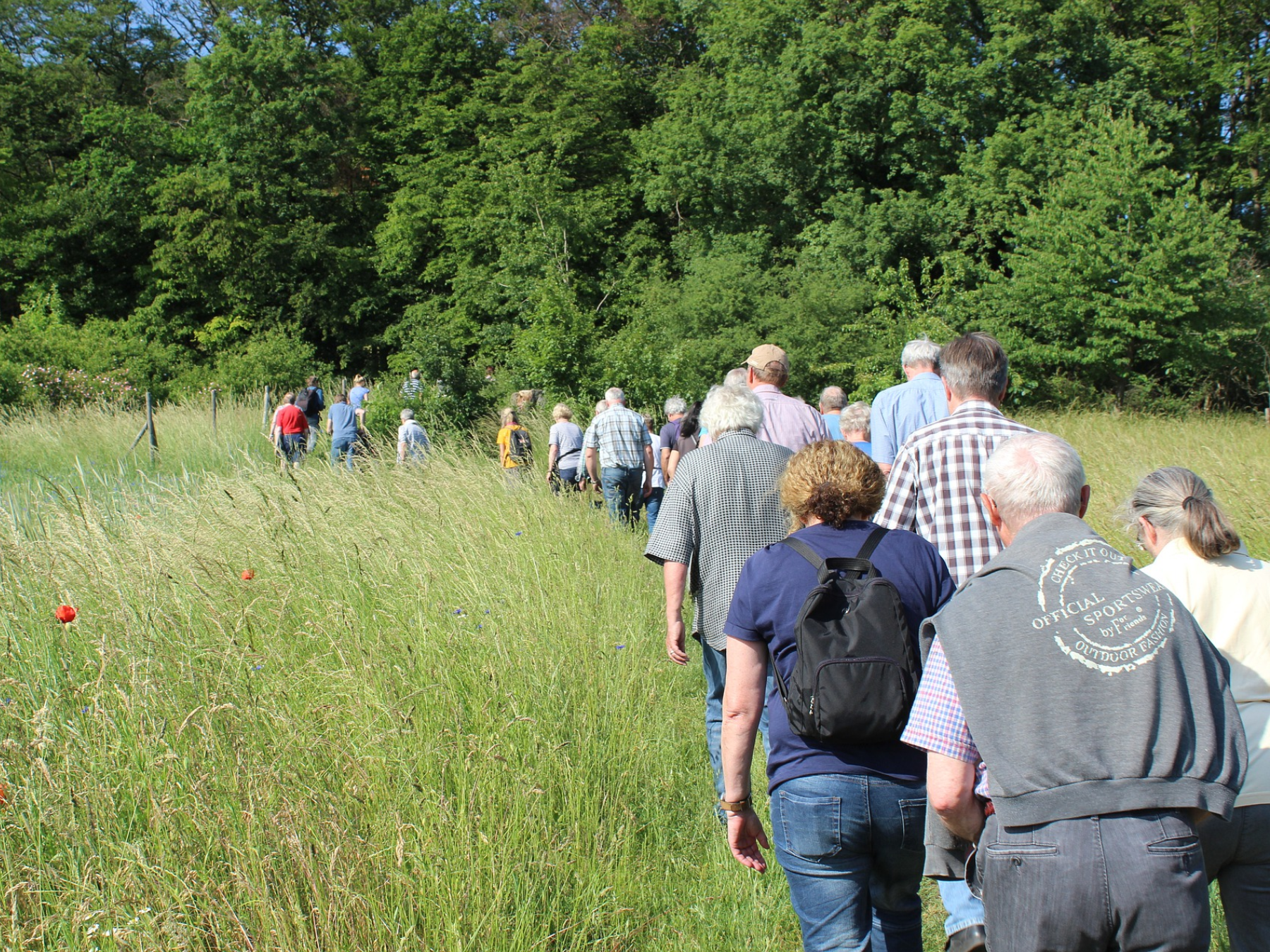 Association Les Zampoulopattes