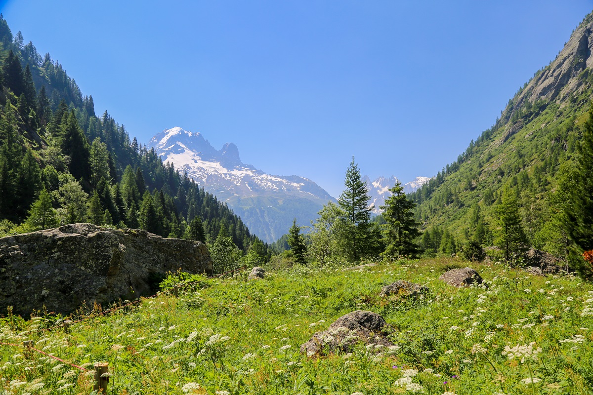 OT Vallée de Chamonix - Salomé ABRIAL-8659