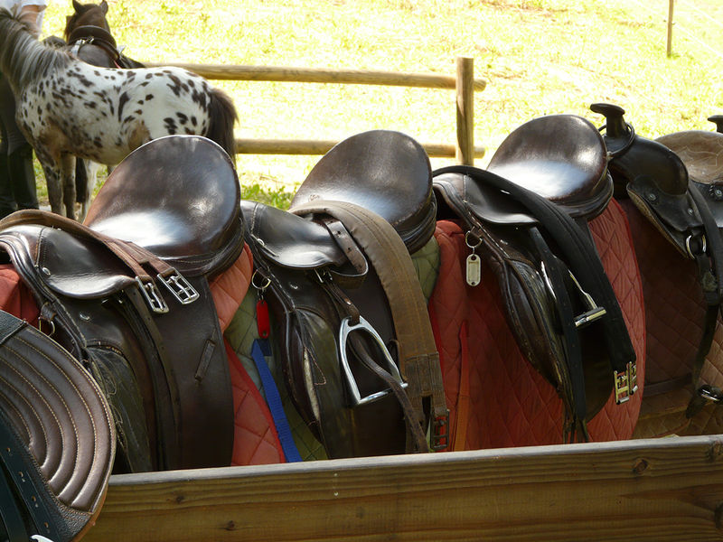 Le Fer à Cheval Peisey-Vallandry