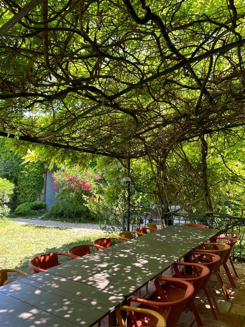 Terrasse sous la glycine
