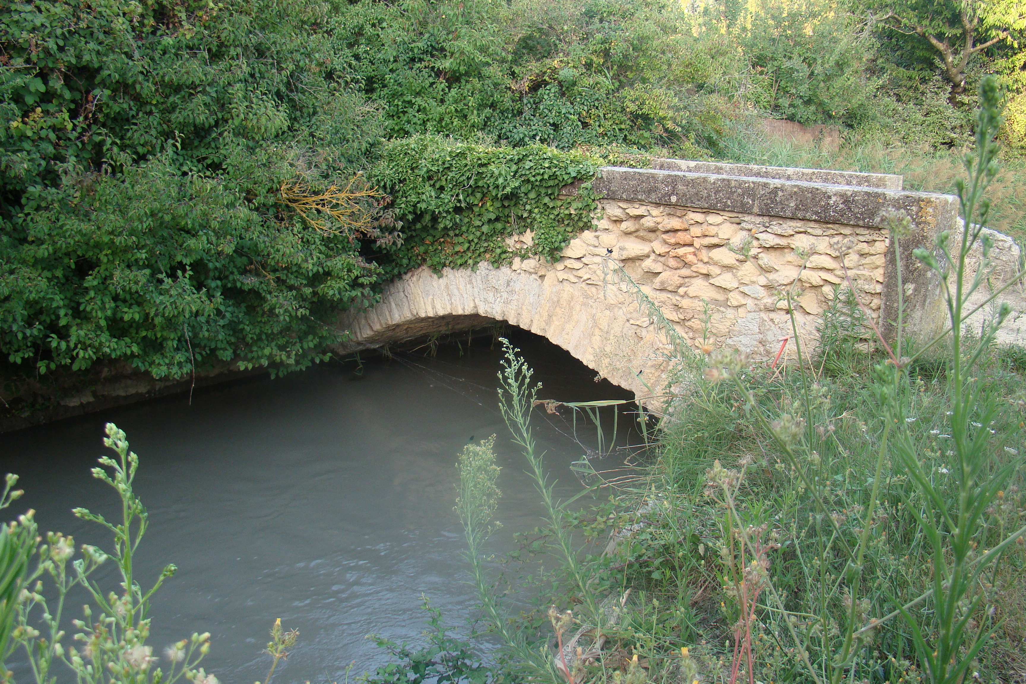 Autour du Canal - Parcours Permanent, Pertuis - photo 2