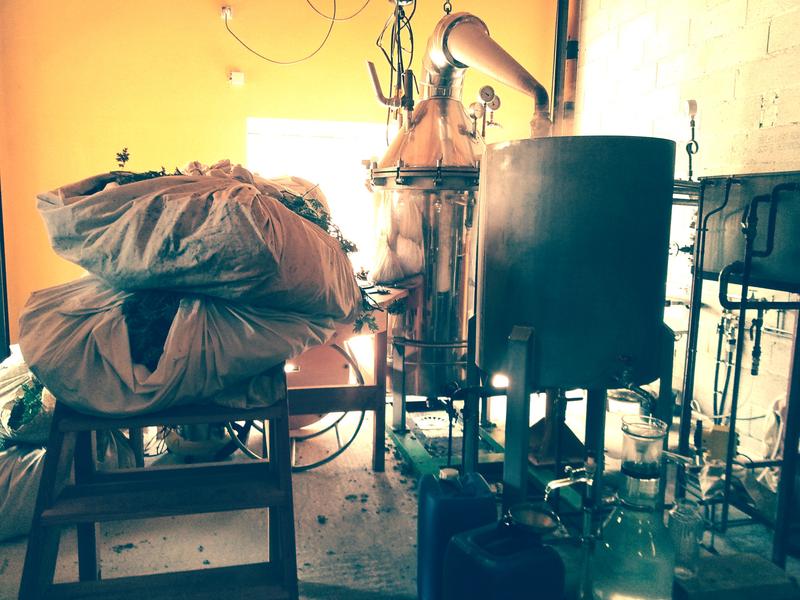 Visite d'une distillerie de plantes aromatiques et médicinales !_Saint-Agrève