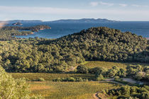 Château des Bormettes vue mer