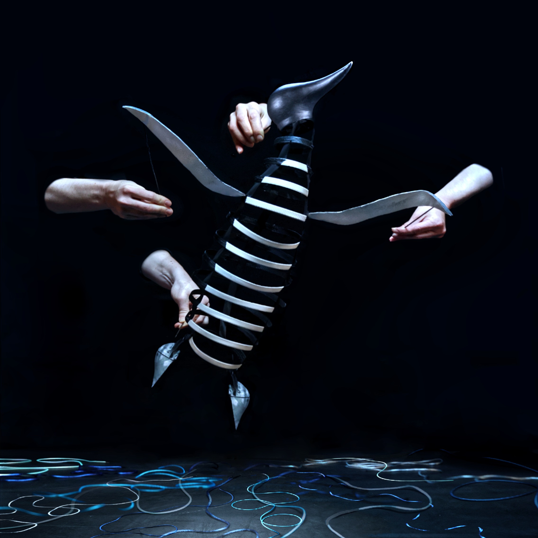 Le complexe du pingouin, Cie Le Mouton Carré
