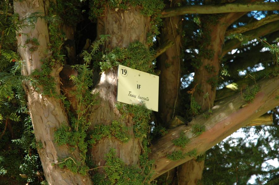 Parc du Clos Claret - Morestel - Balcons du Dauphiné