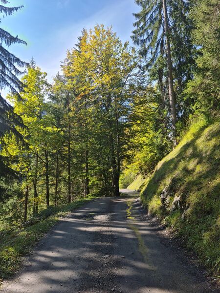 sentier pédestre le Pont de la Flée