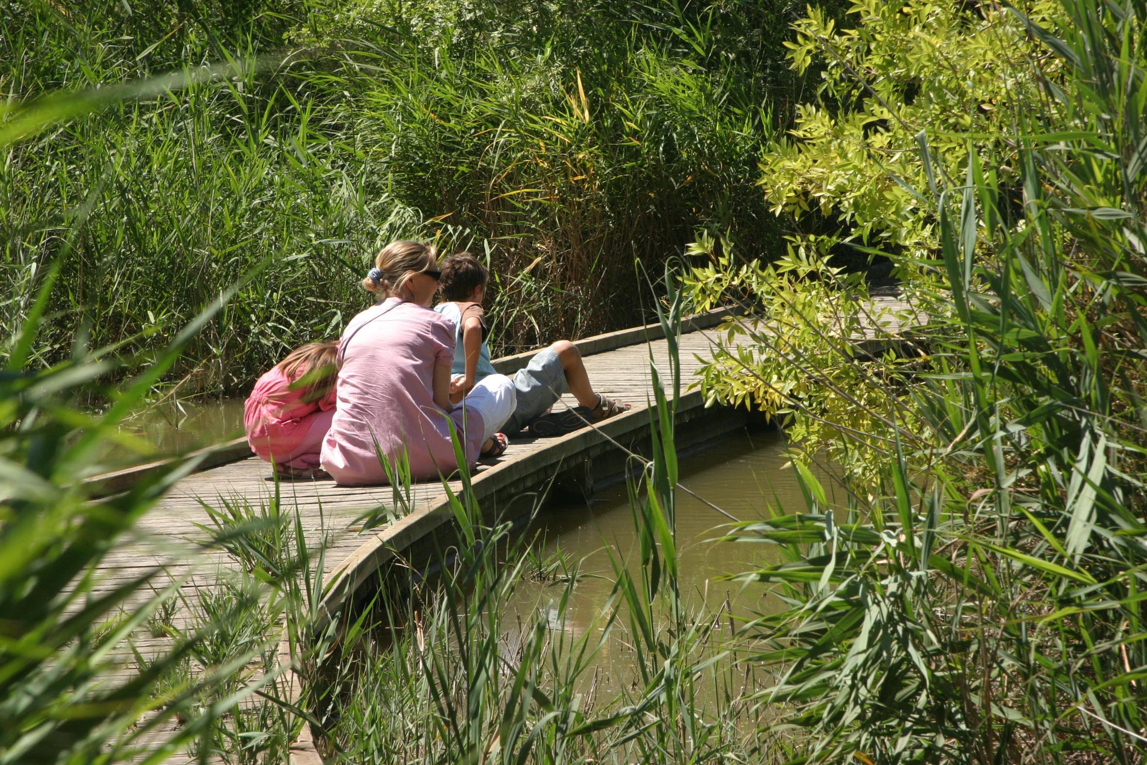 Sentier découverte « des Cabanes » des Marais du Vigueirat