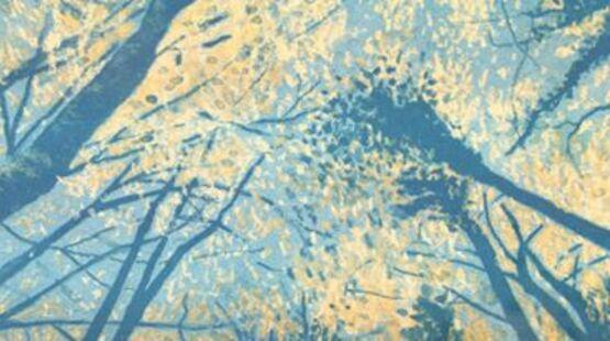 Exposition balade à Saoû_Allex