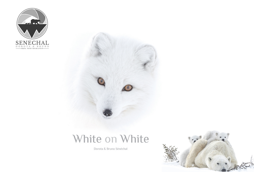 http://Exposition%20White%20on%20White