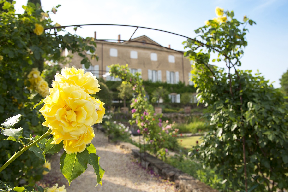 Initiation à la taille des rosiers aux Jardins de Brogieux_Roiffieux