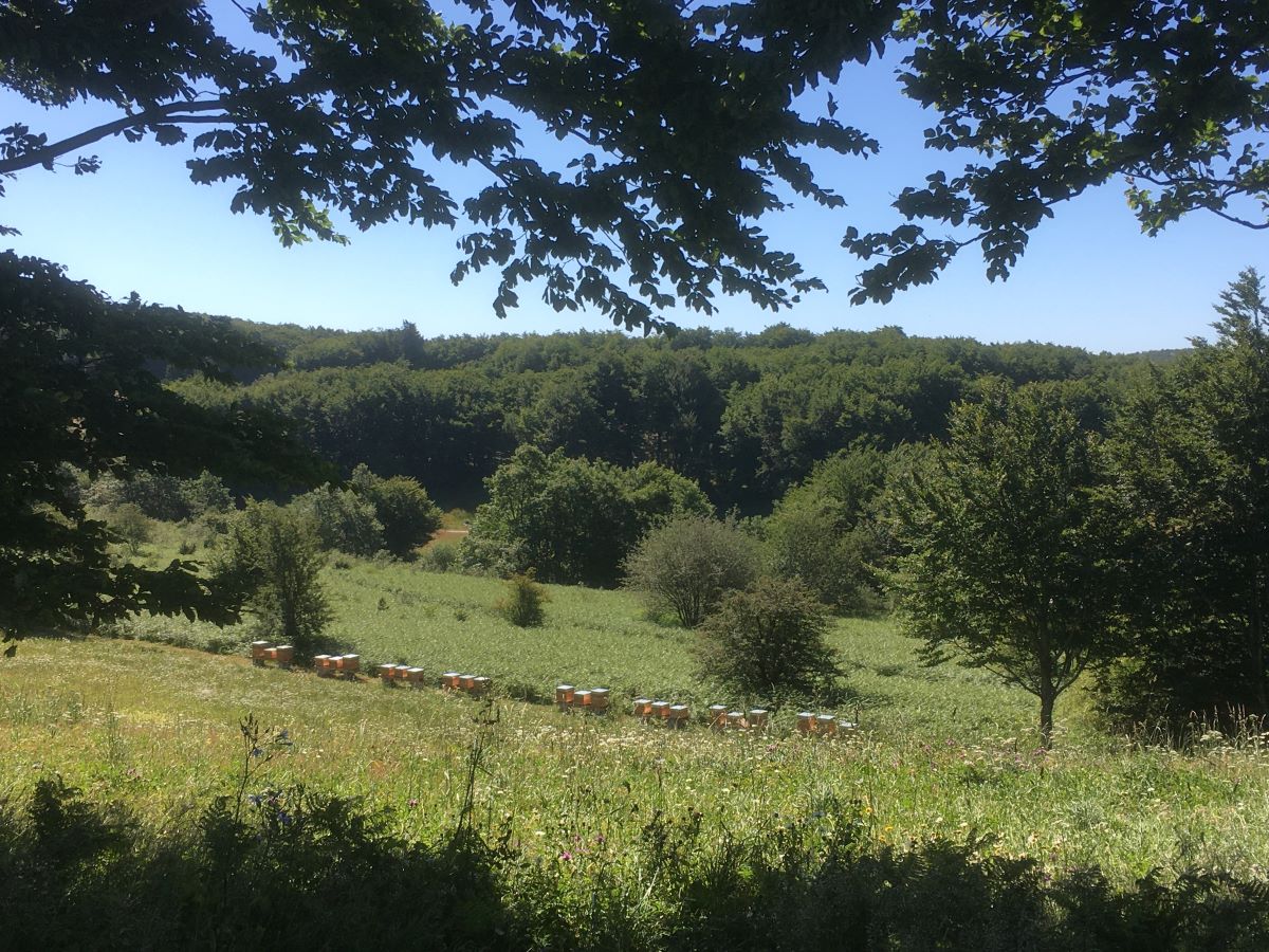 paysage