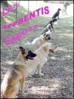 Les Apprentis Cabots