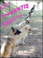 Les Apprentis Cabots