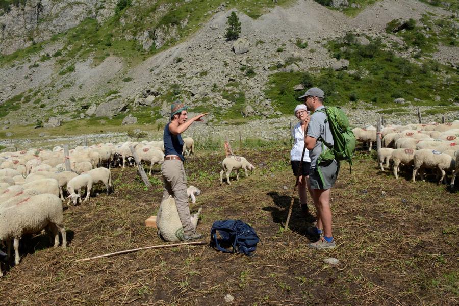 Rdv avec le Parc au Moulin du Séchier : biodiversité et pastoralisme
