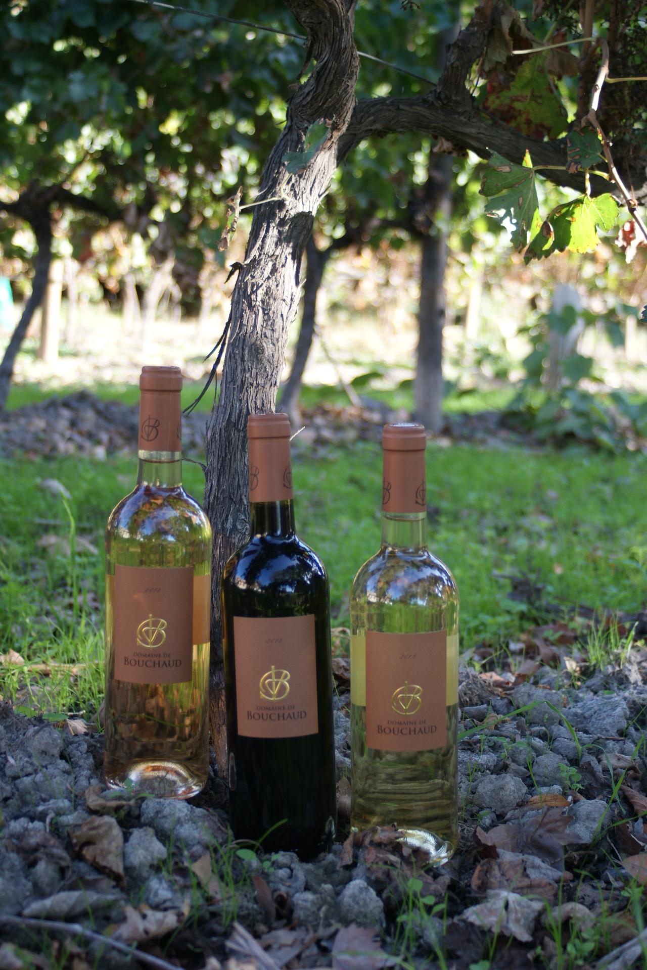 6ae5fe64338f357781e2