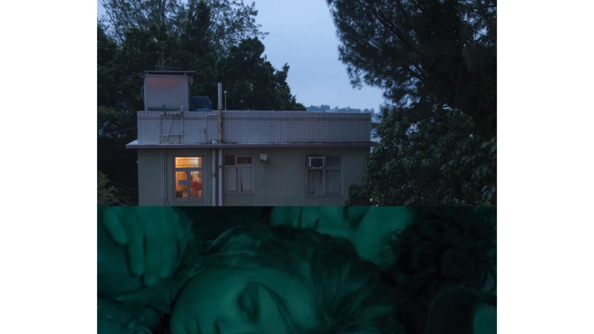 Because the night | Galerie Claire Gastaud