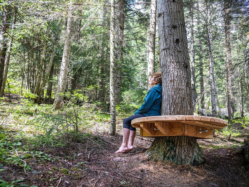 Salon de sylvothérapie du chemin du petit bonheur