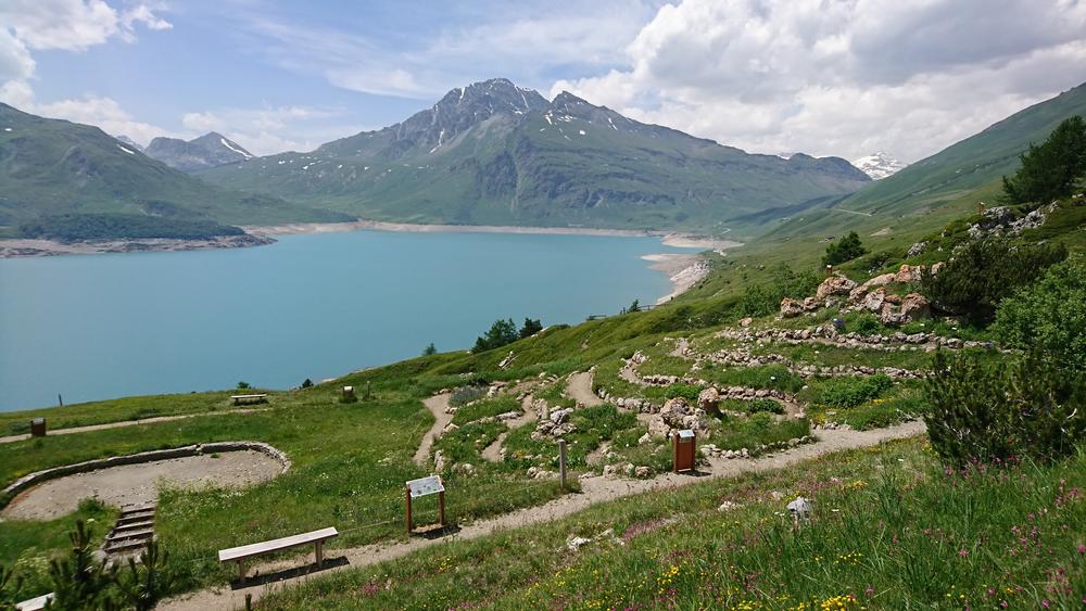 Le jardin alpin au dessus du lac du Mont Cenis Le jardin alpin au dessus du lac du Mont Cenis