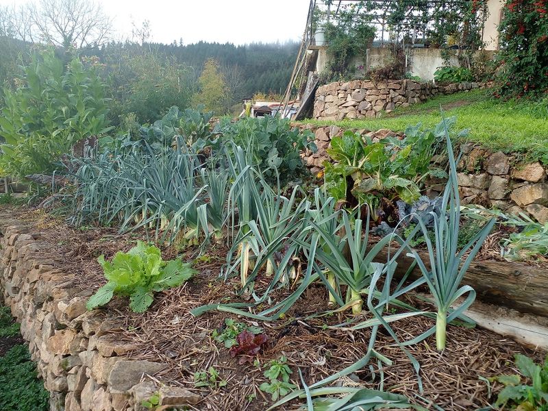 Terre des Vents d\'Ames