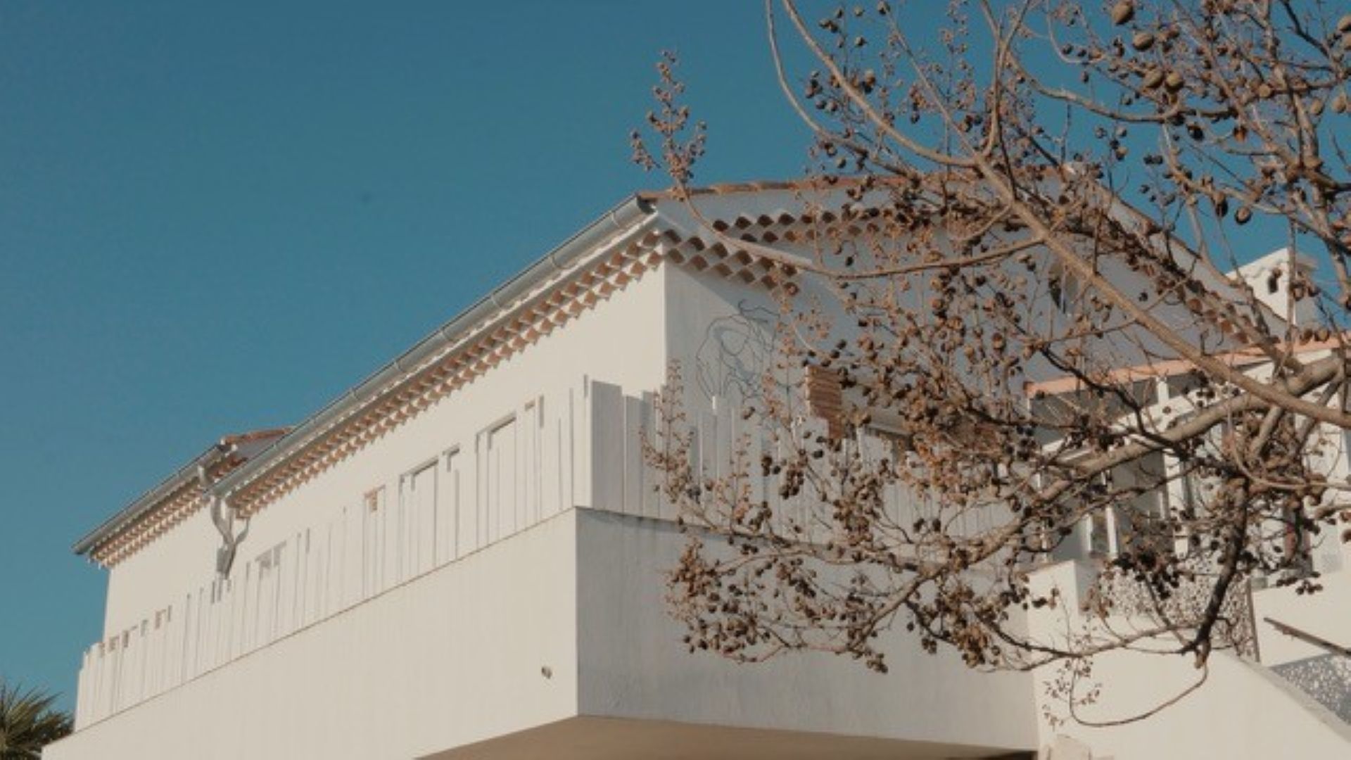 Galerie du Lézard