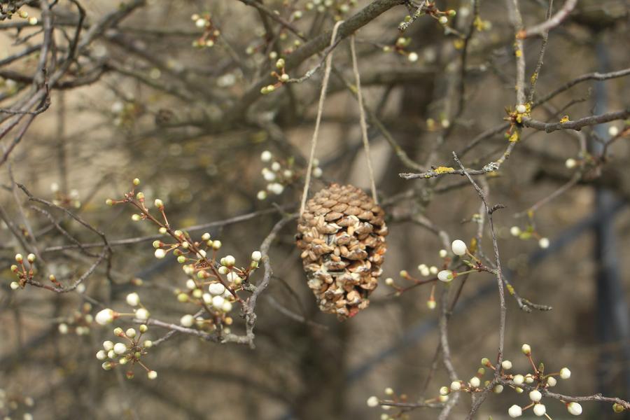Les ateliers du CAB_Grenoble