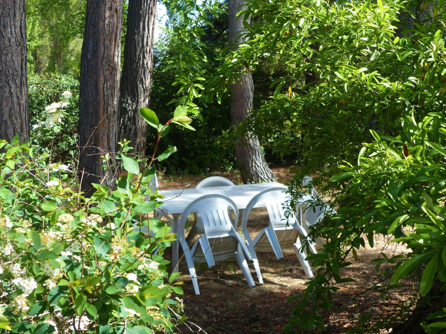 La Pinède, Peynier - photo 20
